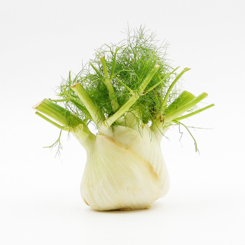Fenouil (légumes)